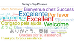 Intelligent Virtual Assistants 